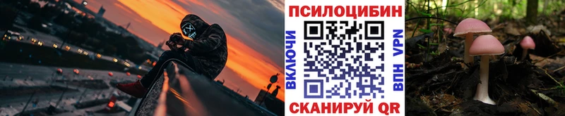Галлюциногенные грибы Cubensis  Славгород 
