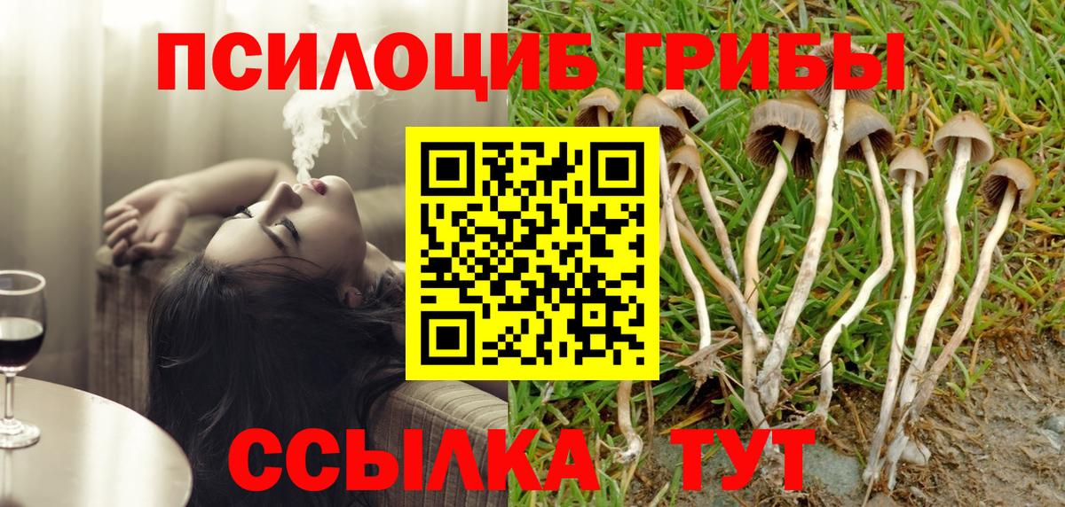 Псилоцибиновые грибы Cubensis  Вход с VPN  Славгород 