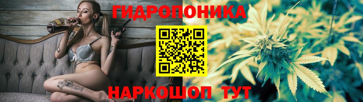 Шишки марихуана семена Славгород